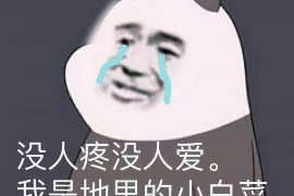 赤城商账追讨清欠服务